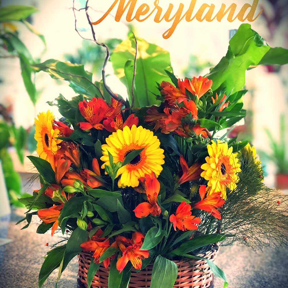 Canasta Deluxe Flores Meryland
