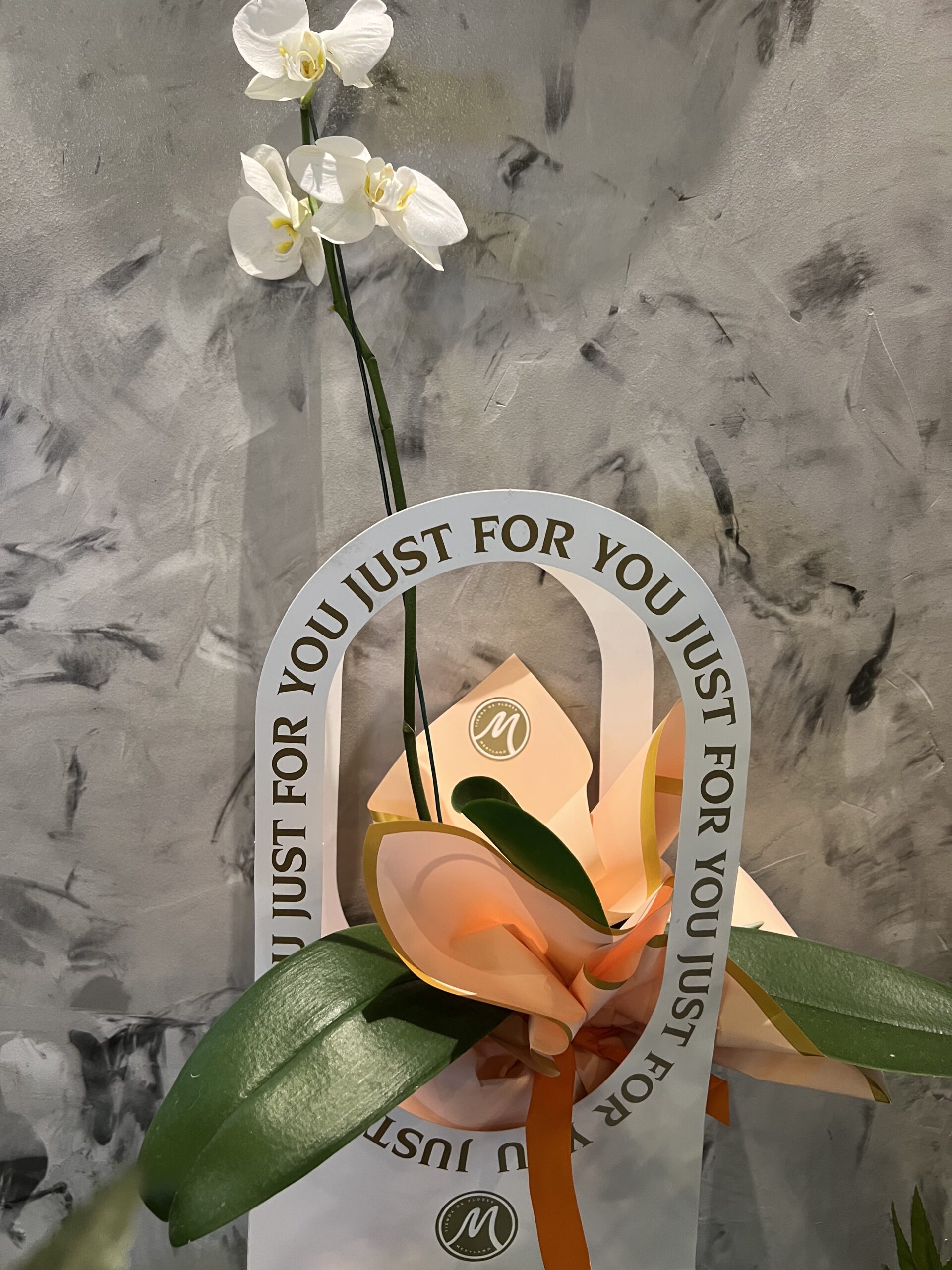 Flores preservadas en instalaciones florales : la tendencia que encanta, image size:1920x2560