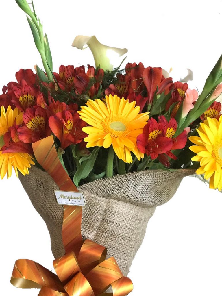 Baby Colors Flores Meryland