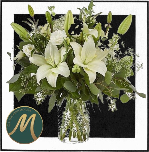 Meryland Premium